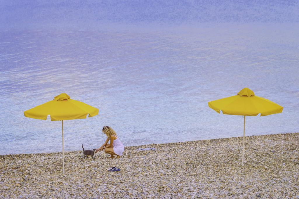 Hotel Avlakia Kokkari Dış mekan fotoğraf