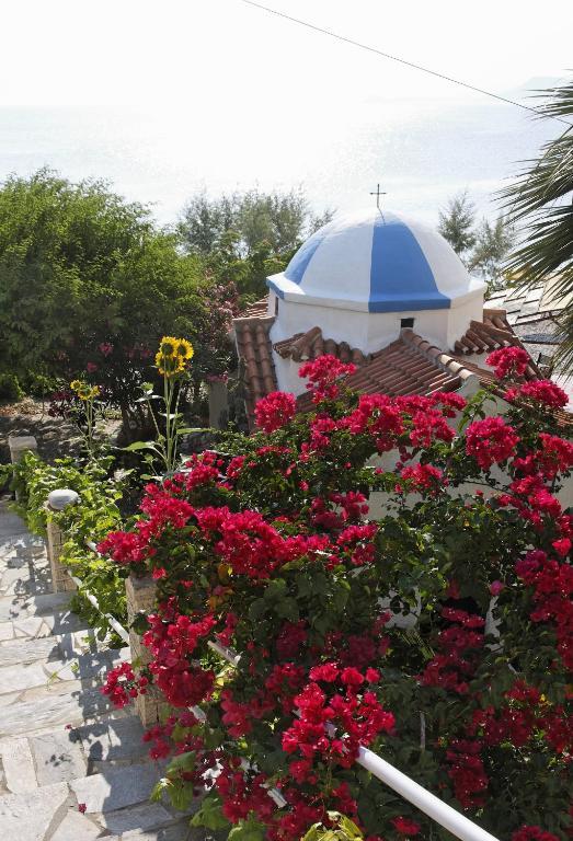 Hotel Avlakia Kokkari Dış mekan fotoğraf