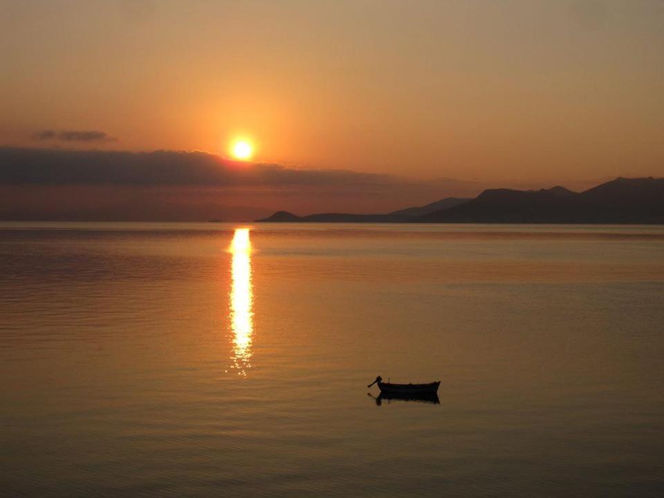 Hotel Avlakia Kokkari Dış mekan fotoğraf